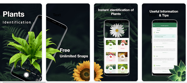 APLIKASI IDENTIFIKASI TUMBUHAN TERBAIK BERDASARKAN GAMBAR 3 LEAFSNAP