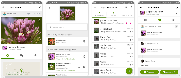 Aplikasi Identifikasi Tumbuhan Terbaik Berdasarkan Gambar