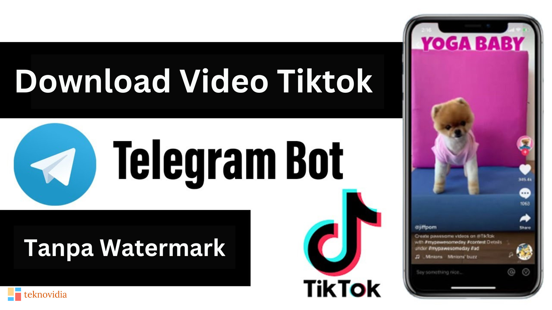 Cara Download Video TikTok Tanpa Watermark di Telegram