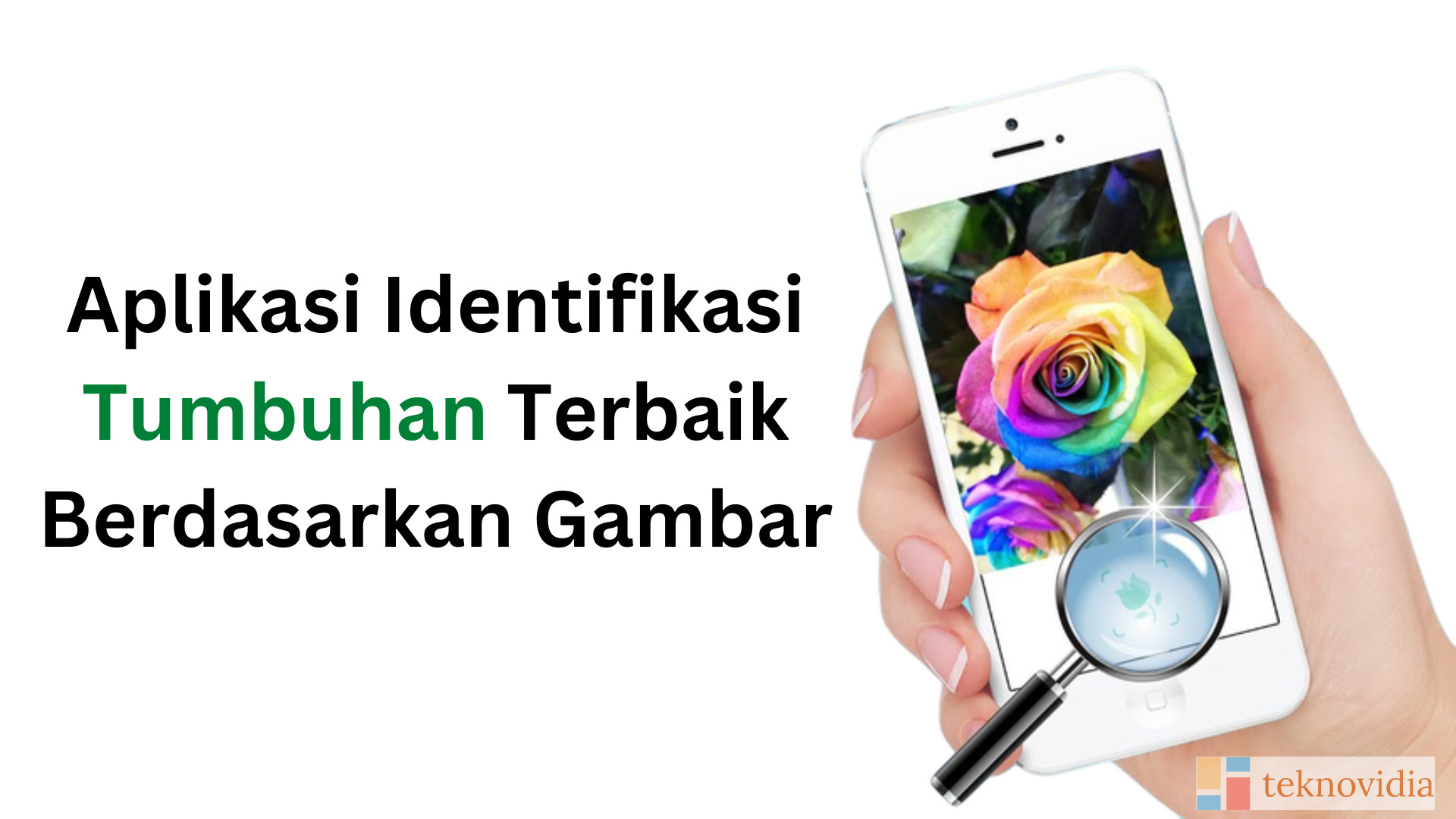 Aplikasi Identifikasi Tumbuhan Terbaik Berdasarkan Gambar