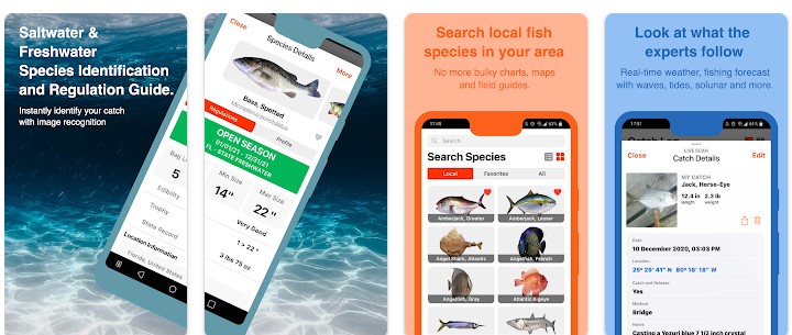 Aplikasi Identifikasi Ikan Fishverify