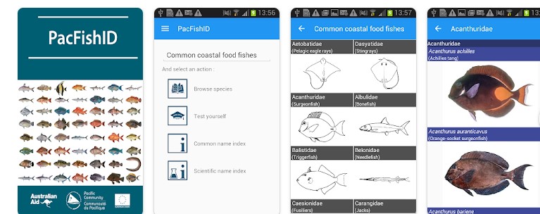 Aplikasi Identifikasi Ikan PacFish ID