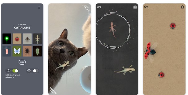 Aplikasi Terbaik Untuk Kucing Cat Alone