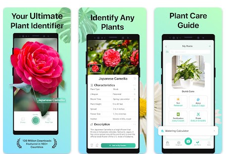 Aplikasi Berkebun Terbaik PictureThis - Plant Identifier