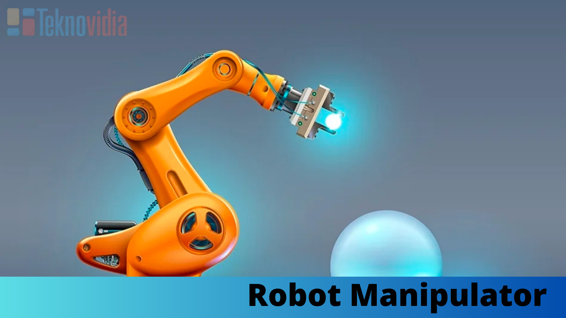 Robot Manipulator